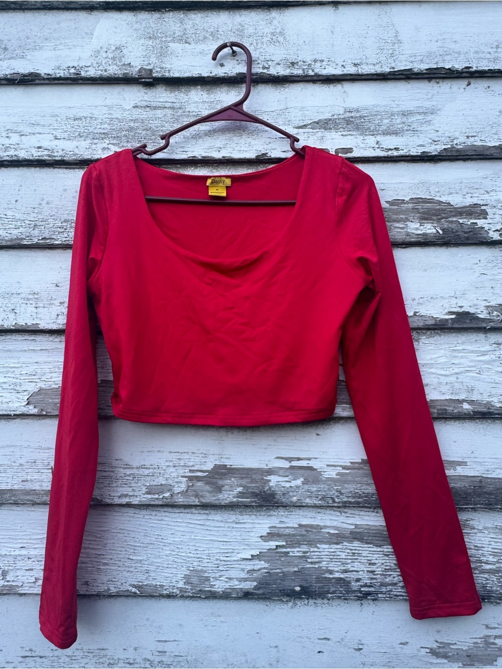 Daisy Red Long Sleeve Scoop Neck Crop Top